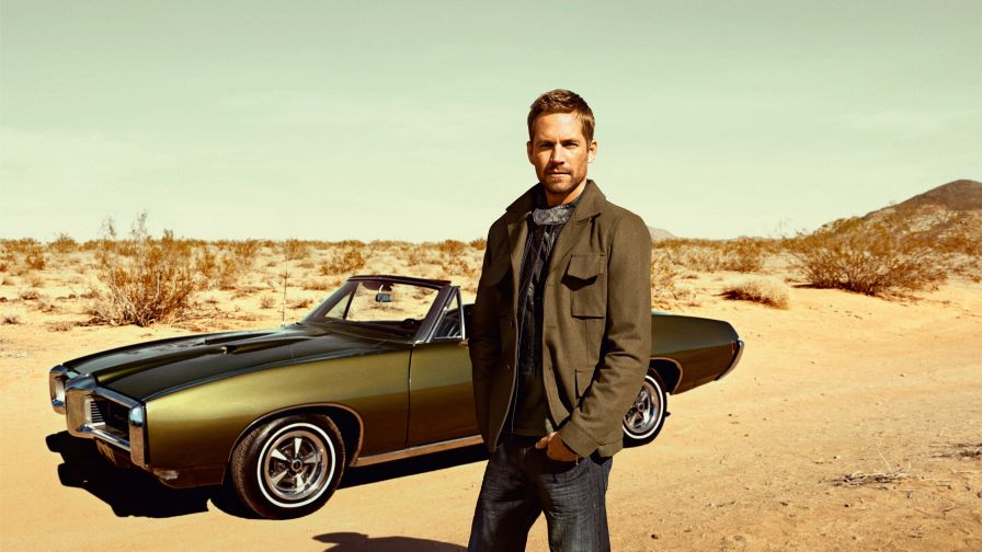 Paul Walker Celebrity Wallpaper 137